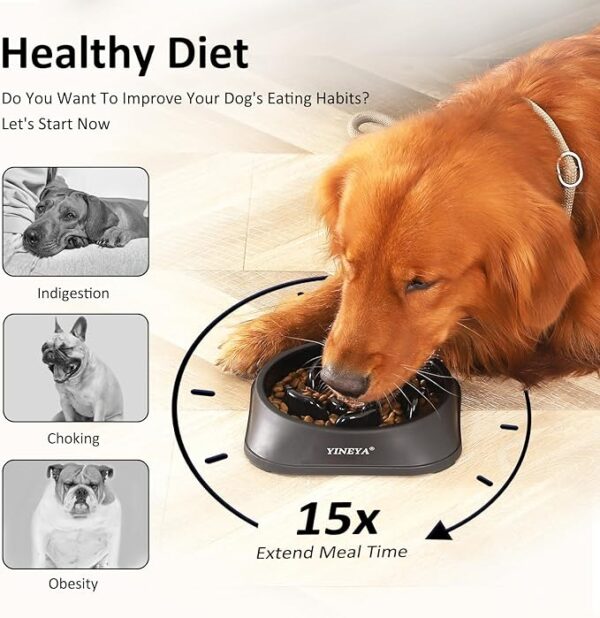 Dog Slow Feeder Bowl