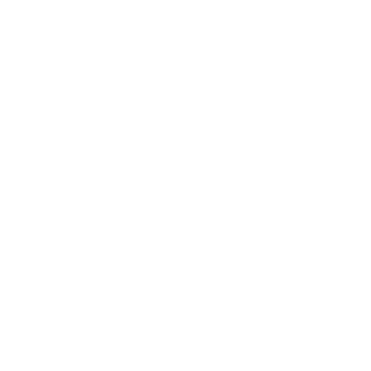 Kashnoir
